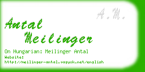 antal meilinger business card